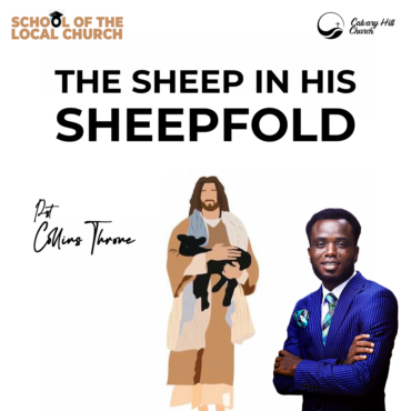 The Sheep in His Sheepfold